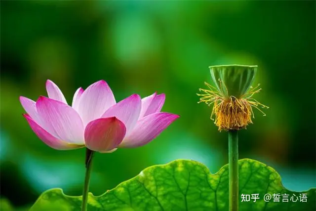 特别暖心的早安一句话,简短精致,越看越爱!-早安暖心话 一句话图片