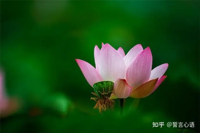 特别暖心的早安一句话,简短精致,越看越爱!-早安暖心话 一句话图片