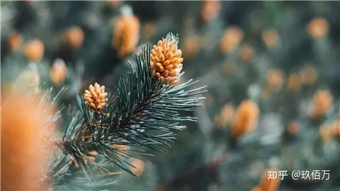 早晨温心祝福语-早晨温馨祝福短语