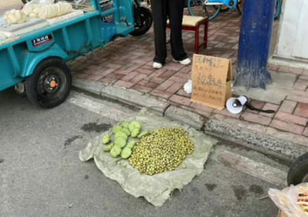 《沉香如屑》中的“天界特产”你吃了吗?“菡萏心”原来是它-沉香如屑甜蜜图片大全