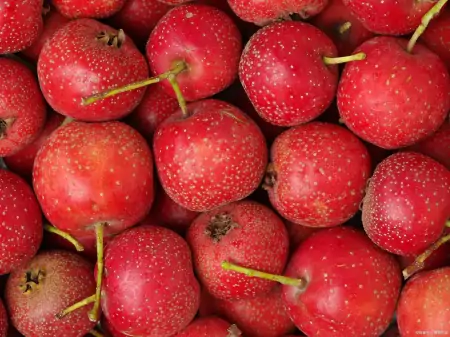 它是食物“黄金”!夏天吃有这五大好处,错过就太可惜了(夏天多吃黄色食物)