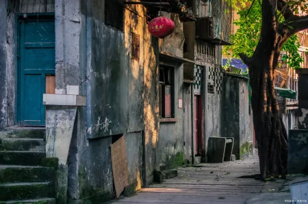 长篇小说/梧桐巷/23.爷爷用中医医术,治好了老太太的病(爷爷是位老中医)