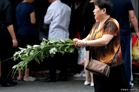 今年端午节哪天割艾草好?老人说“前三后四最合适”,有啥说法?-几月份割艾草