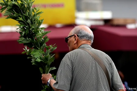 今年端午节哪天割艾草好?老人说“前三后四最合适”,有啥说法?-几月份割艾草