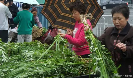 今年端午节哪天割艾草好?老人说“前三后四最合适”,有啥说法?-几月份割艾草