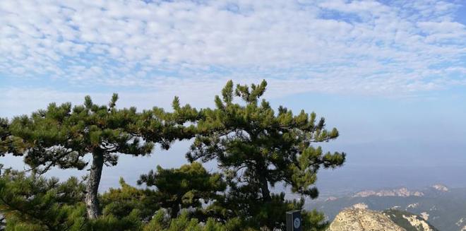 外地人去华山旅游攻略:衣食住行!-爬华山一年死多少人