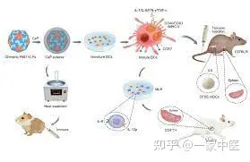 甲状腺结节怎么中医治疗?-甲状腺结节的中医治疗的方药有哪些