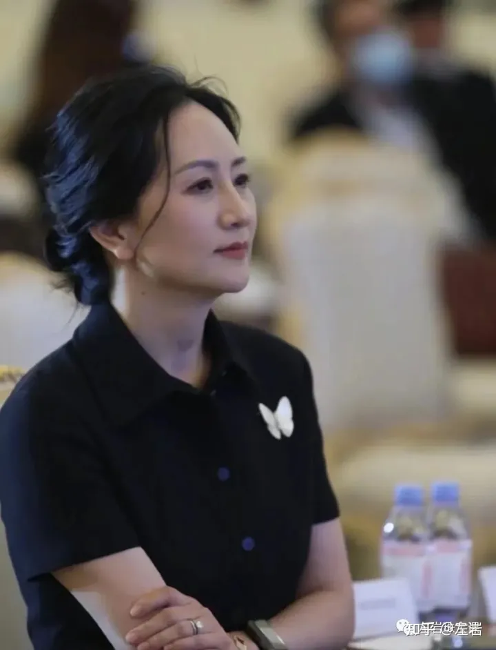 左岩:“破茧成蝶”孟晚舟,回国后首次公开露面,近10万蝴蝶胸针增添优雅自信本色!-孟晚舟左脚腕戴的是什么