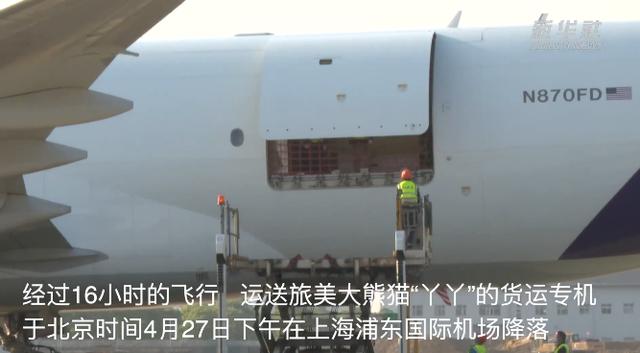 “丫丫”回家第一晚,画面来了,下一步安排→-丫头回来了 律师