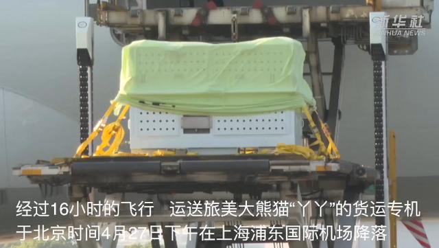 “丫丫”回家第一晚,画面来了,下一步安排→-丫头回来了 律师