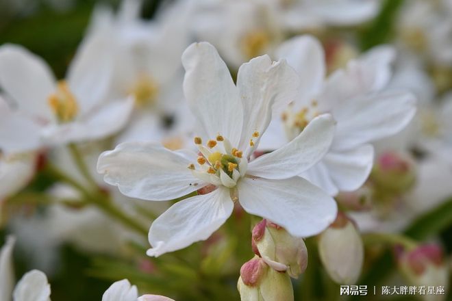 双子座2022年运势详解,双子座2022年全年运势完整版(双子座2021年运势精准详解女生)