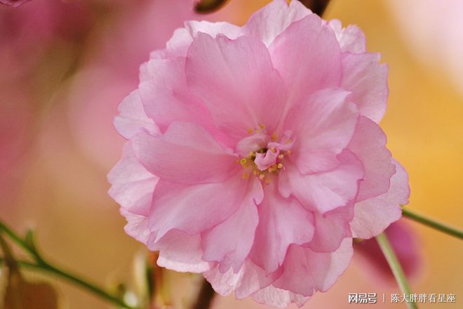 双子座2022年运势详解,双子座2022年全年运势完整版(双子座2021年运势精准详解女生)