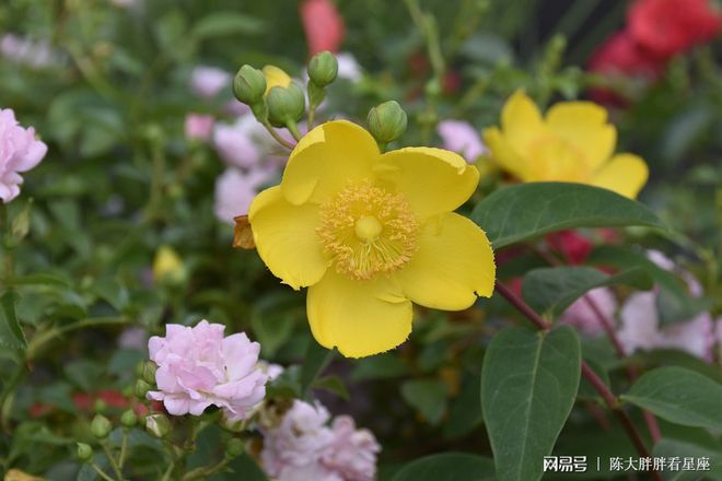 双子座2022年运势详解,双子座2022年全年运势完整版(双子座2021年运势精准详解女生)