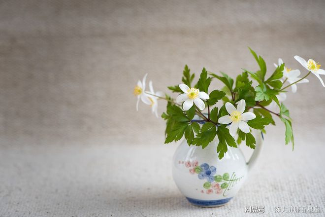 双子座2022年运势详解,双子座2022年全年运势完整版(双子座2021年运势精准详解女生)