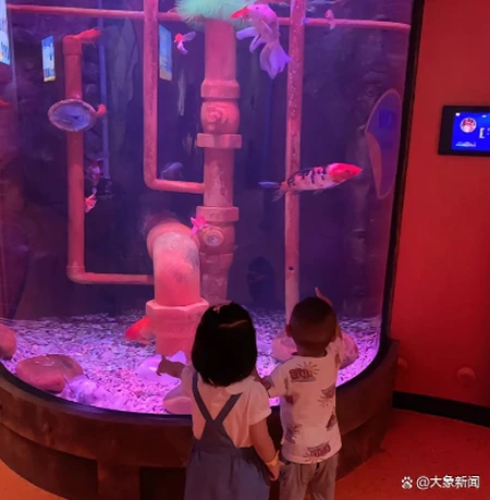 重庆姐弟坠亡案宣判后母亲祭奠孩子:再等等,一定为你们讨回公道-重庆姐弟坠亡案庭审现场视频完整版