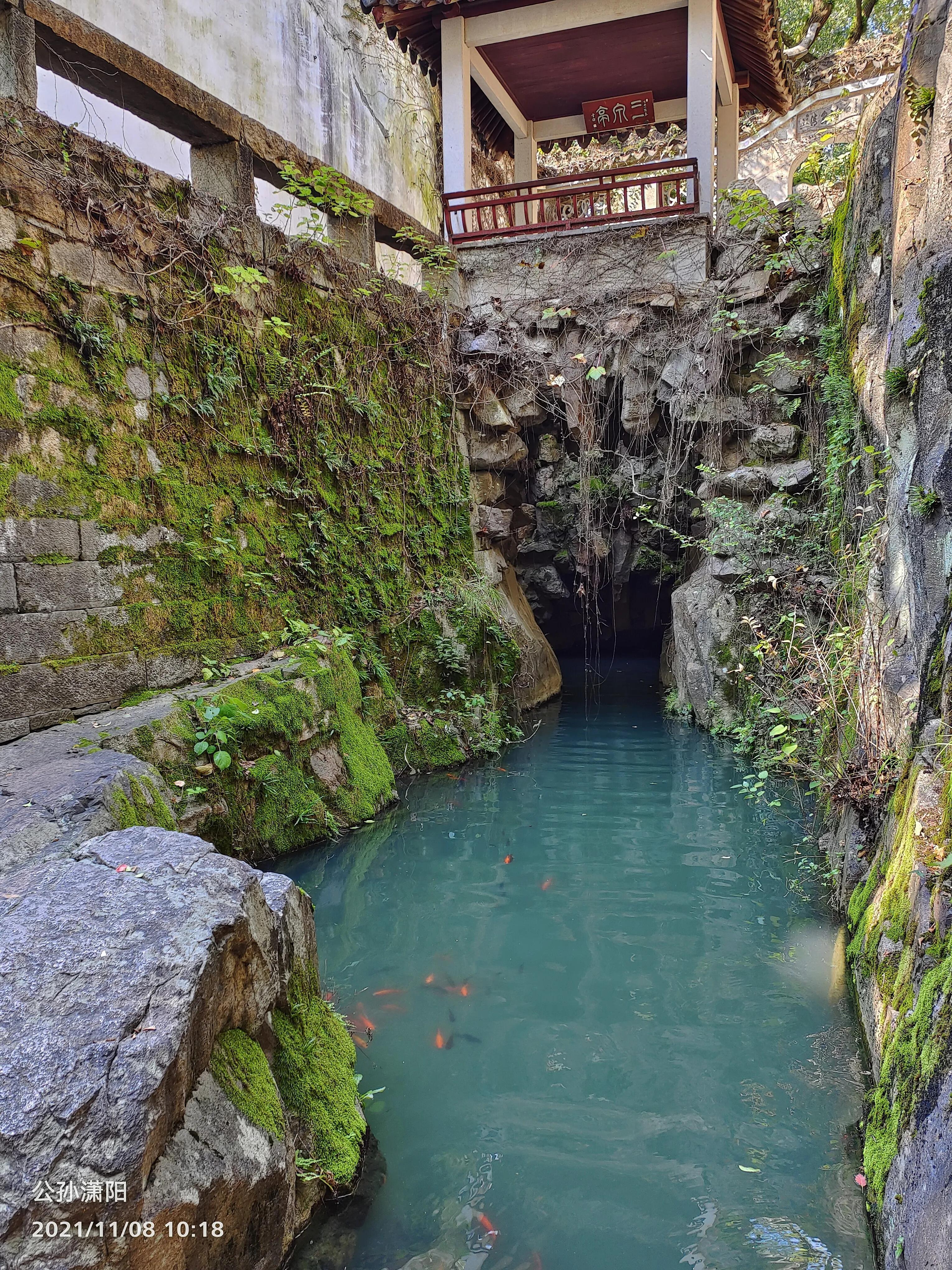 重游虎丘,方知一步一典故(游虎丘小记文言文原文及翻译及注释)