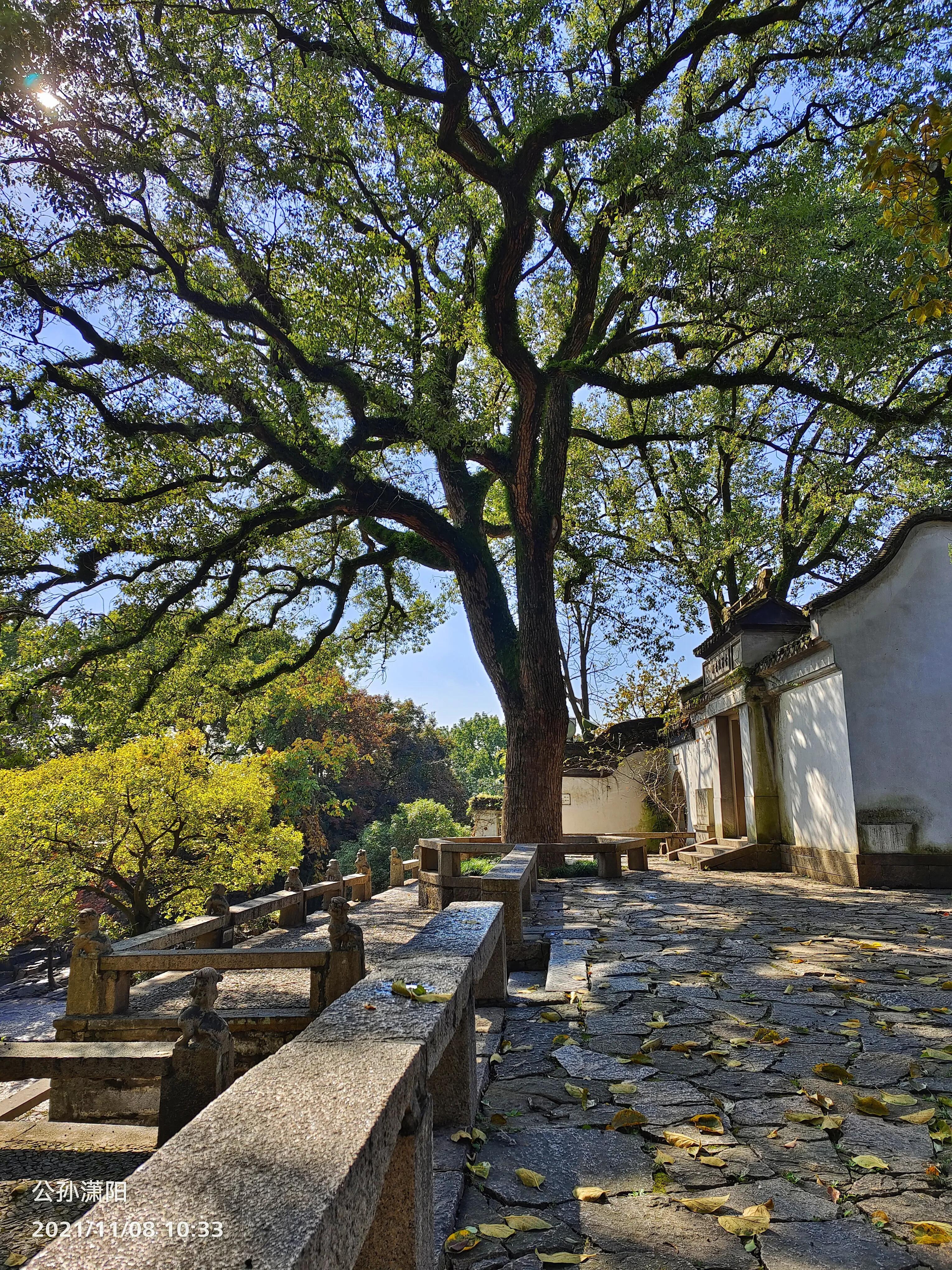 重游虎丘,方知一步一典故(游虎丘小记文言文原文及翻译及注释)