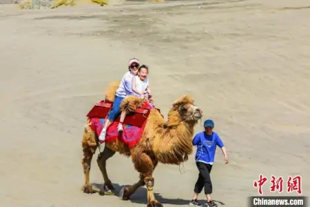 新疆博州精河县第六届木特塔尔沙漠文化旅游节开幕(博尔塔拉精河县属于哪个市)