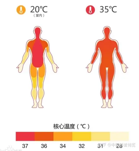 中国「人造太阳」EAST 创世界纪录实现 1 亿摄氏度百秒,这个 1 亿摄氏度是怎么测出来的?(中国人造太阳运行102.11秒)