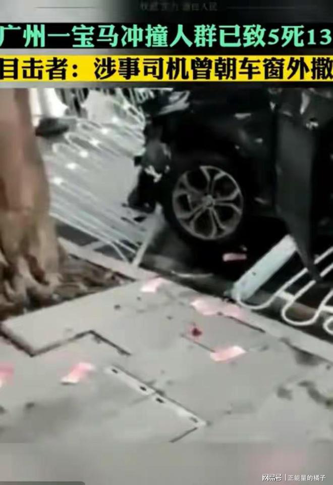 广州男子驾宝马连撞致五人死亡,判决死刑,大连撞人罪犯执行死刑(大连男子开宝马撞)