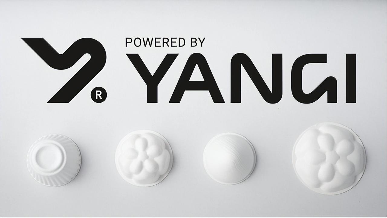 2022.02.09快报 | SHEIN获全球最具人气购物应用;Chanel等投资瑞典包装品牌;法国女装品牌Kookaï破产-瑞典包装公司有哪些