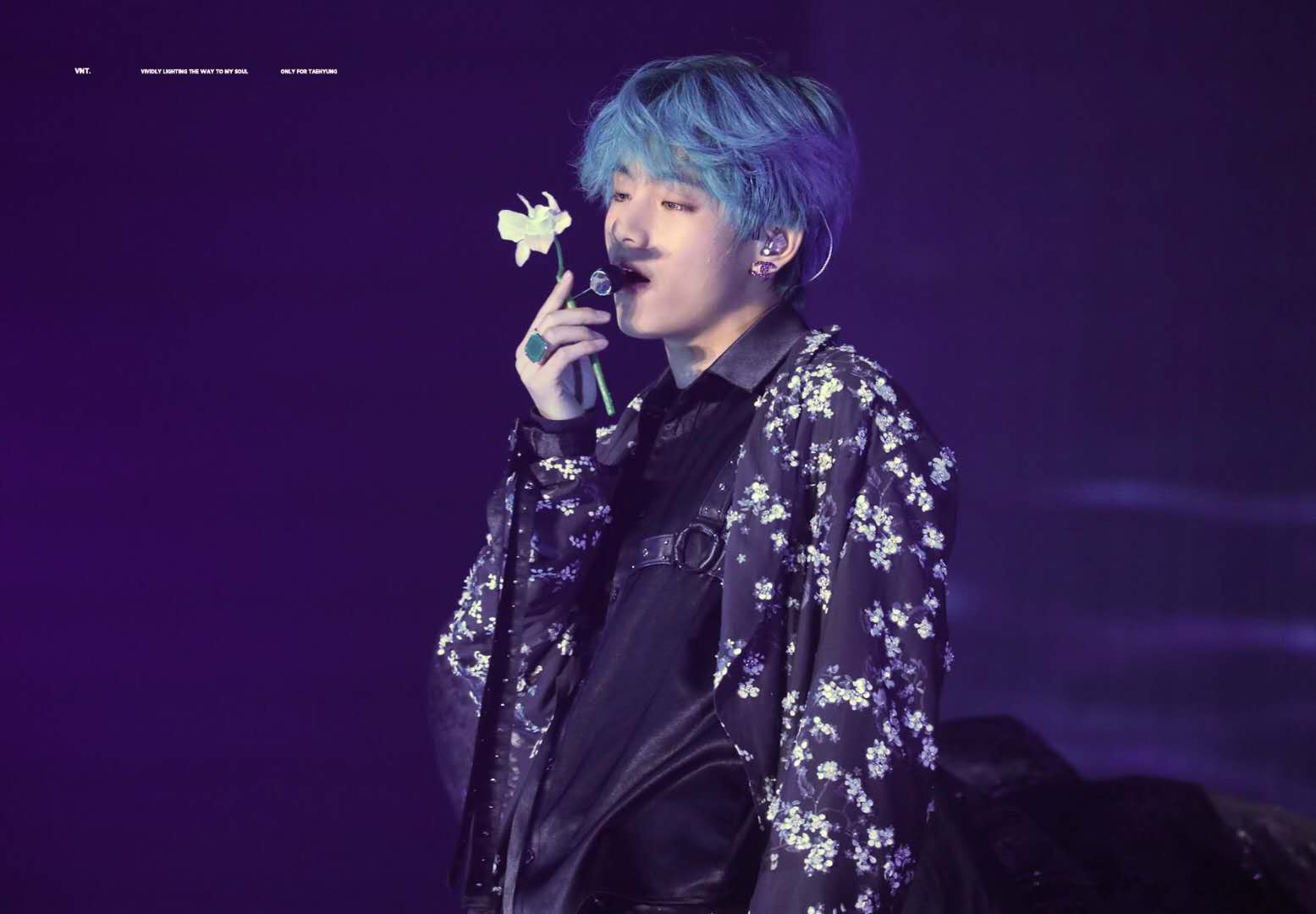 防弹少年团成员介绍-防弹田柾国高清壁纸