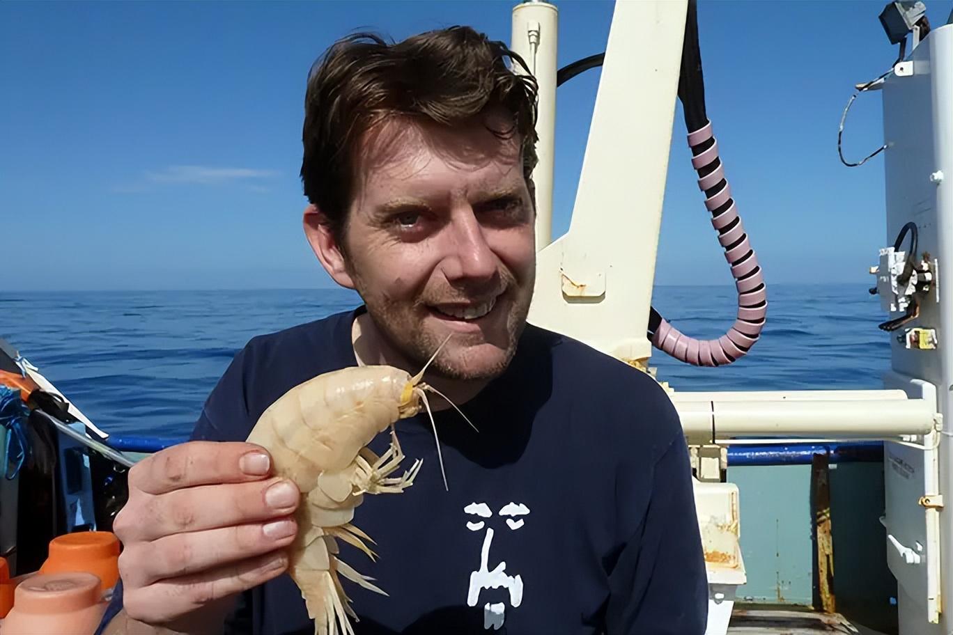 打破纪录!科学家在深海8336米找到一群小鱼,能活下来简直奇迹!(在海底的小鱼叫什么)