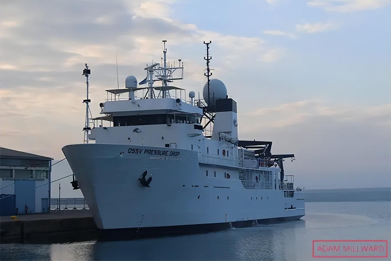 打破纪录!科学家在深海8336米找到一群小鱼,能活下来简直奇迹!(在海底的小鱼叫什么)