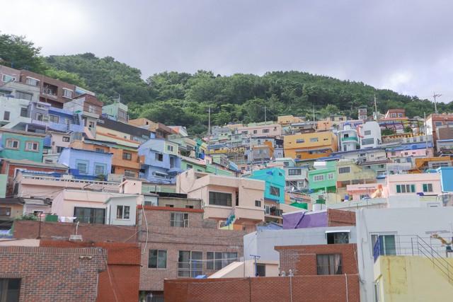 韩国房价突然全面崩盘,带来哪些警示?我们会走它的老路吗?-韩国房价涨幅