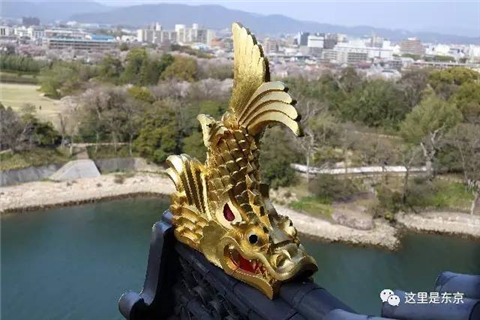 巨型怪鱼入侵护城河!日本人民愁得慌,还数中国人民有办法(巨大鱼怪兽)