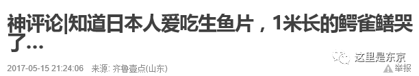 巨型怪鱼入侵护城河!日本人民愁得慌,还数中国人民有办法(巨大鱼怪兽)