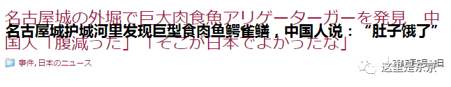 巨型怪鱼入侵护城河!日本人民愁得慌,还数中国人民有办法(巨大鱼怪兽)