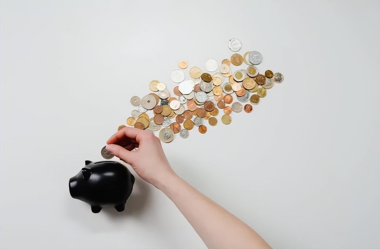 我,二十多岁,开始规划养老-20几岁就想养老