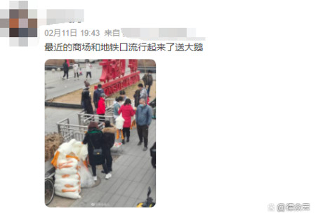 地铁扫码送大鹅?谨慎扫码!安全问题不容小觑!-地铁口扫码送小礼品