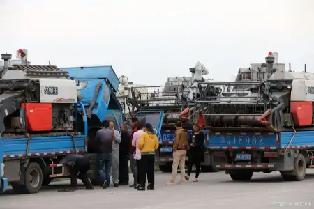 南阳小麦受损真相曝光,收割机被拦事件背后的秘密,你一定想不到-南阳小麦今日价格