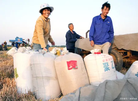 南阳小麦受损真相曝光,收割机被拦事件背后的秘密,你一定想不到-南阳小麦今日价格