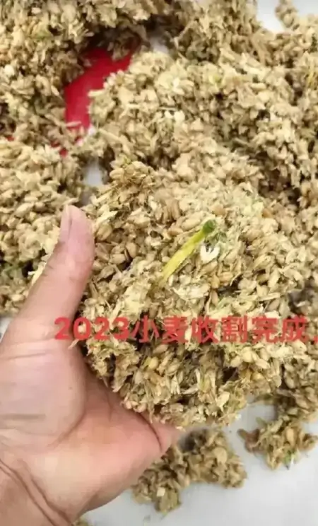 大快人心!河南官方终于出手了,河南收割机下不了高速-收麦机多少钱一台河南