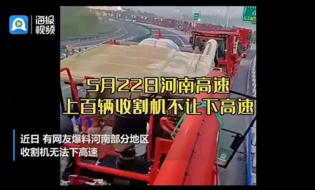 小麦淋雨受损和收割机事件虽无关联,也当读懂背后的民生期盼-收割小麦下雨前还是下雨后好