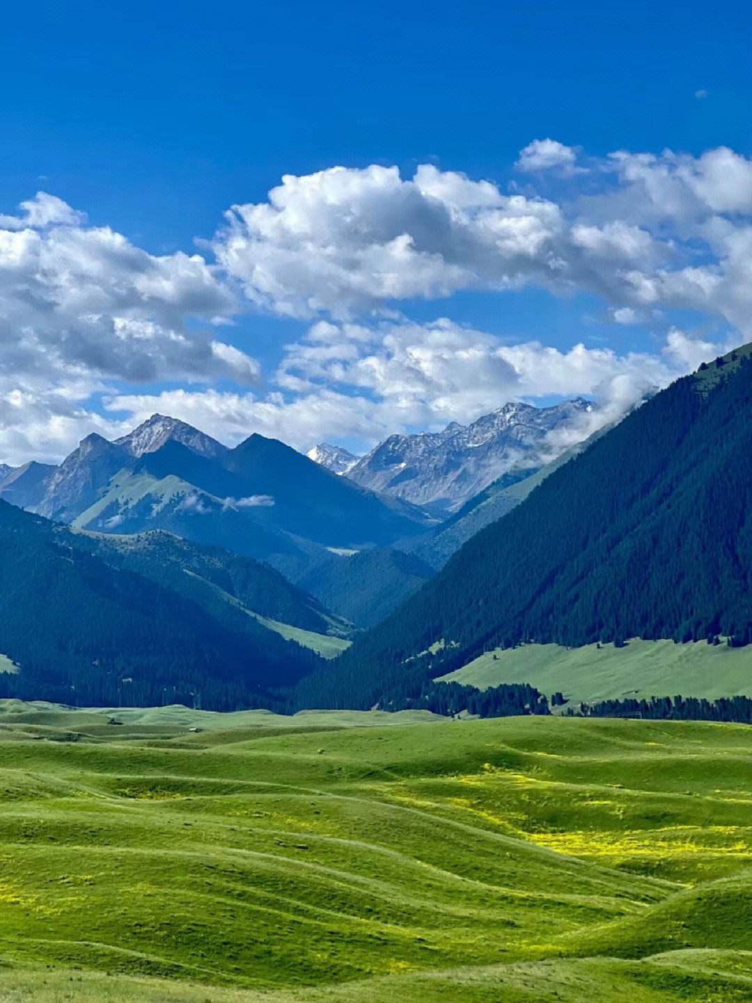 环游北疆旅游专列7月29首发,双层四人包厢9日游,每人仅4380元