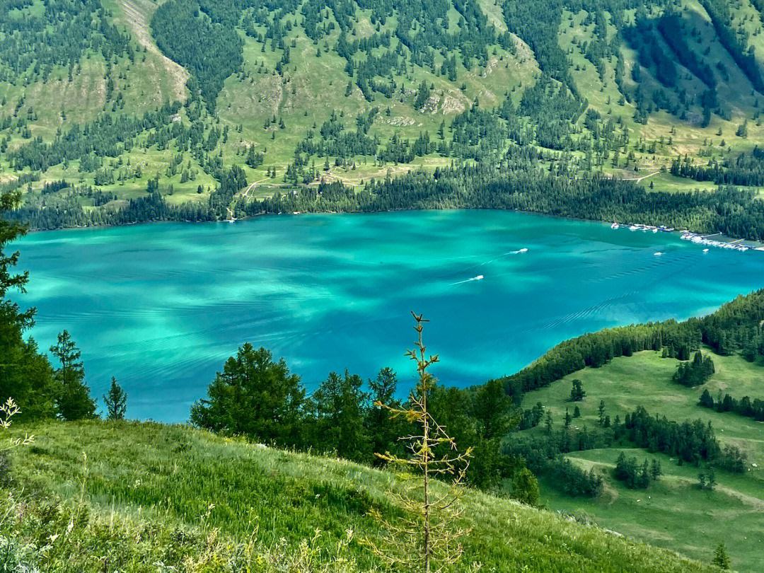 环游北疆旅游专列7月29首发,双层四人包厢9日游,每人仅4380元