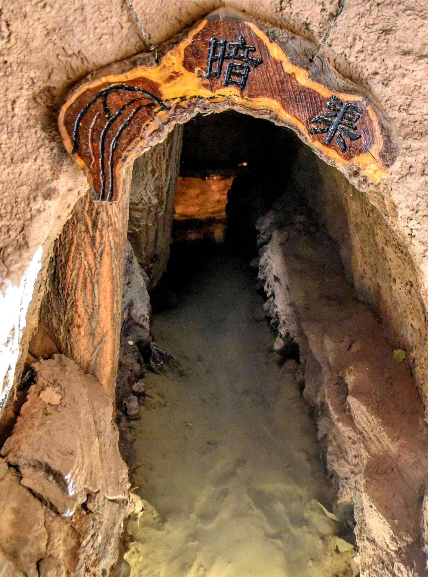 环游北疆旅游专列7月29首发,双层四人包厢9日游,每人仅4380元