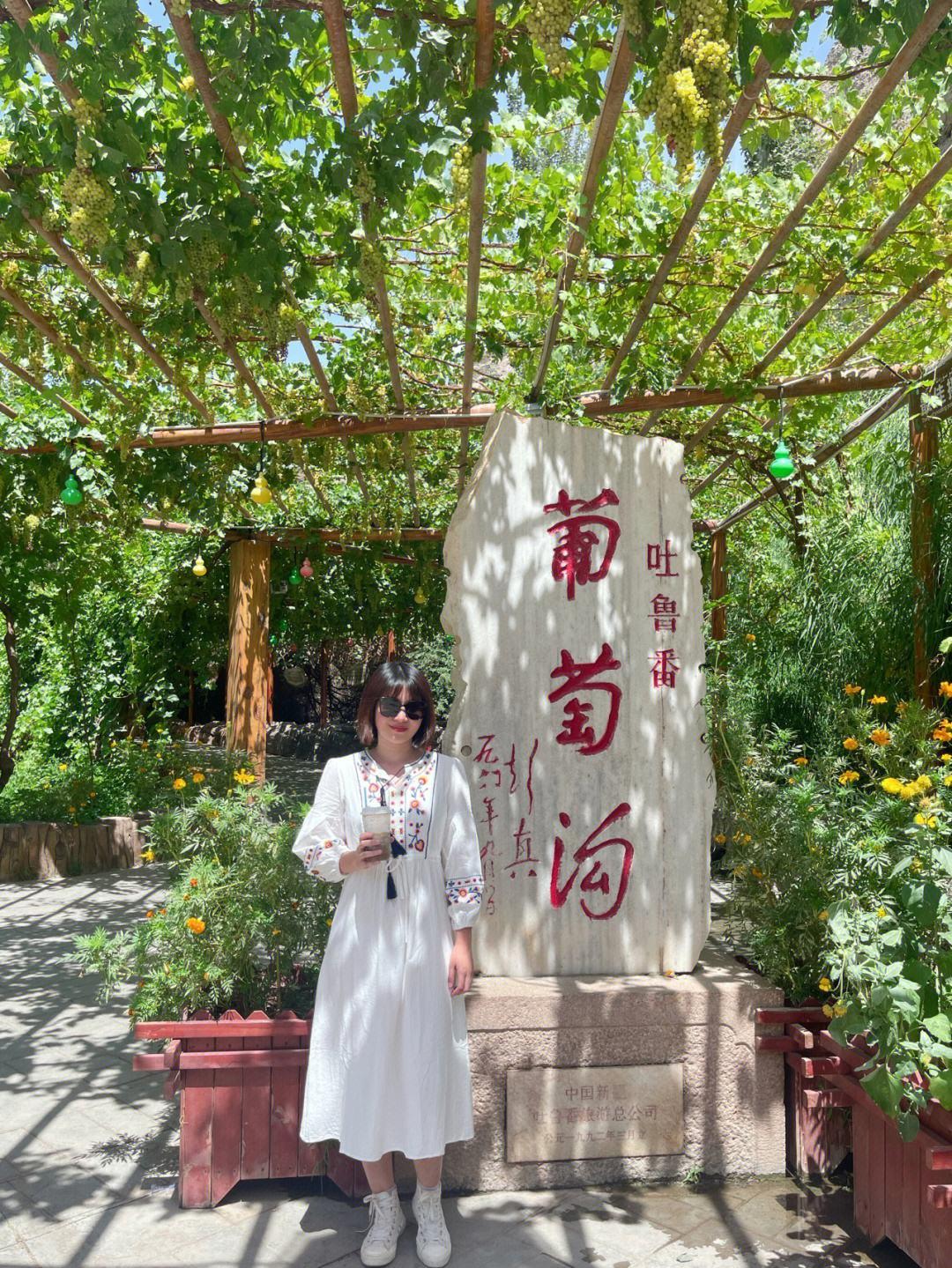 环游北疆旅游专列7月29首发,双层四人包厢9日游,每人仅4380元