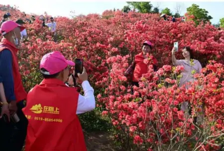 2023年长三角(江苏)首趟旅游专列“开进”温州瑞安-长三角旅游集散中心