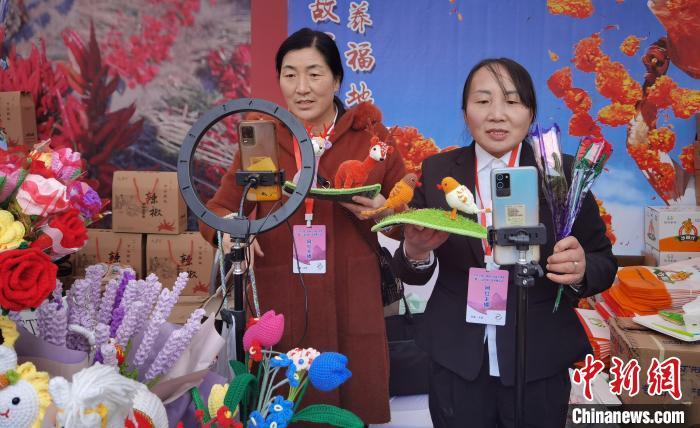 甘肃“村花”直播团的故事-甘肃网红村