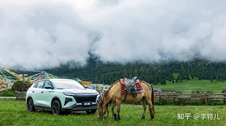 西藏试驾东风风神皓极,13万级混动SUV有40万级的越级实力-东风风神插电混动suv