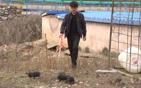 在西北山村做“网红”:教孩子唱歌、帮老乡卖猪(西北小山村)