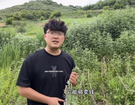 在西北山村做“网红”:教孩子唱歌、帮老乡卖猪(西北小山村)