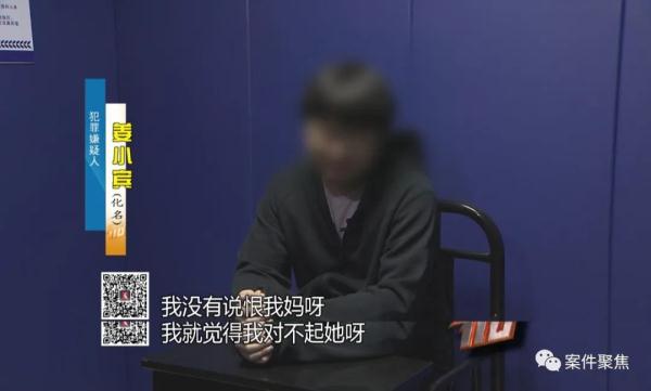 上海一财务把公司偷得只剩20块 害了儿子还毁了自己(财务偷公司钱是什么罪)