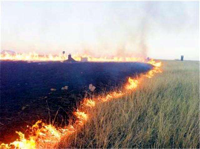 一道全国初中物理竞赛题! 很多中学生慌不择路做出最致命选择!-全国初中物理竞赛题汇总