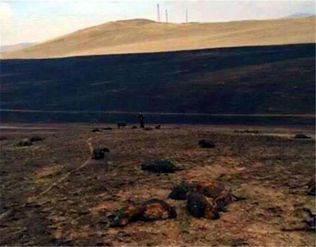 一道全国初中物理竞赛题! 很多中学生慌不择路做出最致命选择!-全国初中物理竞赛题汇总